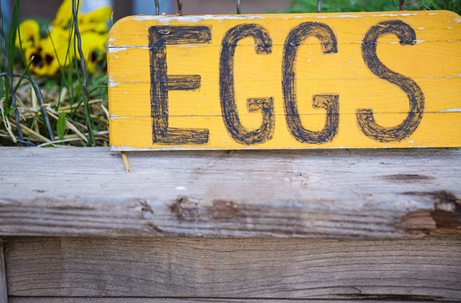 eggs-sign