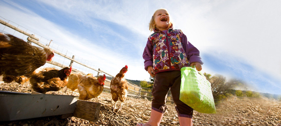 children-in-the-chicken-coop